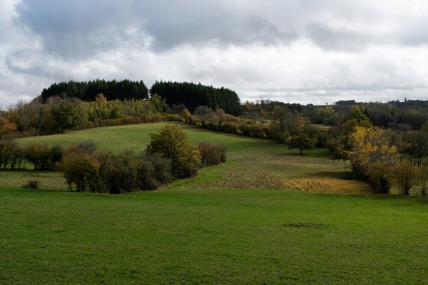 Maximisez votre chasse avec un filet camouflage chasse